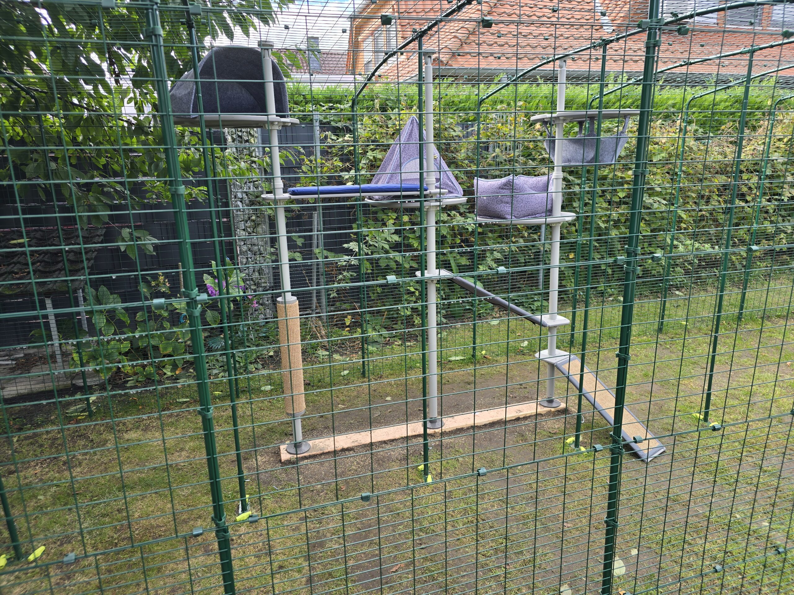 Freestyle Outdoor Kletterbaum im Katzengehege mit Tipi, Nest, Hängematte und Plattformen