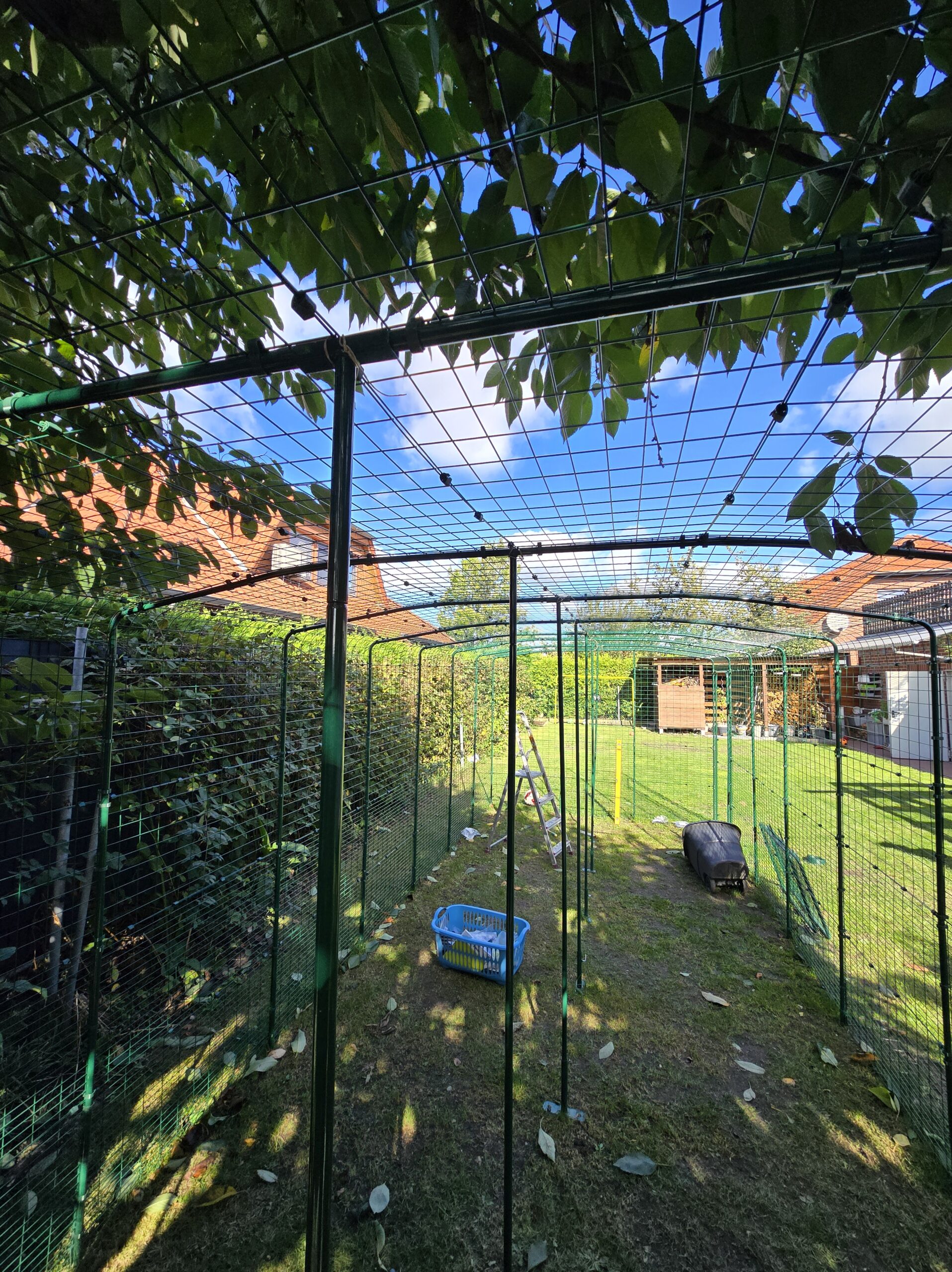 Katzengehege-Aufbau: Das Gehege nimmt Form an – mit montierter Decke