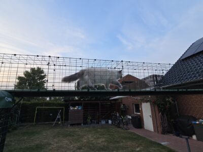Omlet Tunnel vom Haus zum Katzengehege: So habe ich 8 Meter sicher überbrückt