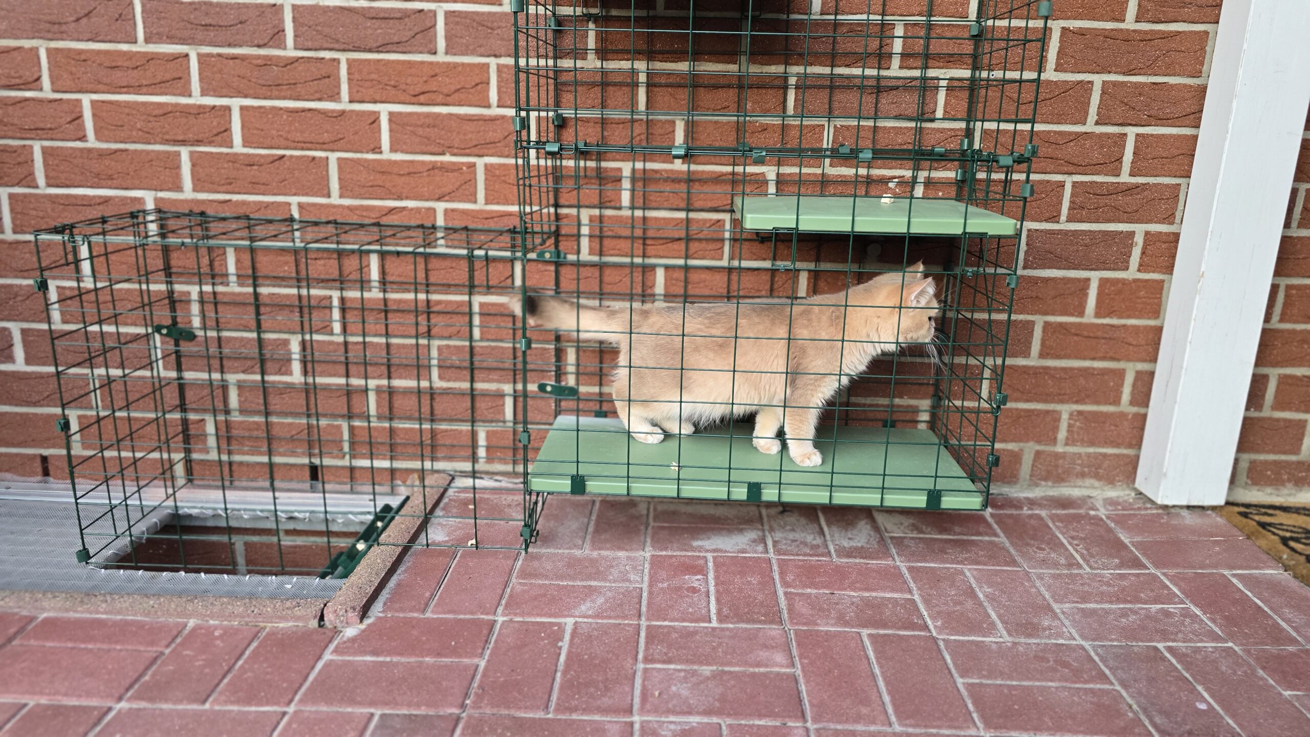 Ernie läuft im Turm über eine Plattform Richtung Ausgang zum Katzentunnel