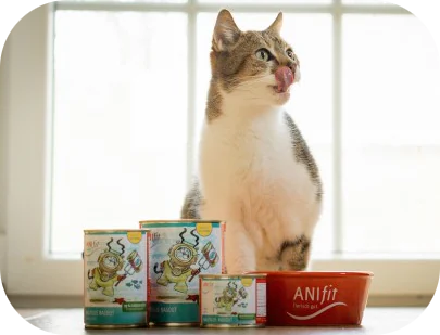Anifit 10% Gutscheincode MEINKATZENGEHEGE