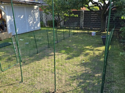 Dachgitter eines Katzengeheges mit Blick nach oben, Blätter und blauer Himmel sichtbar