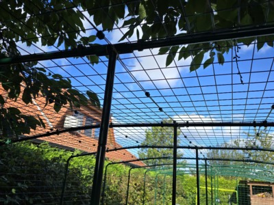 Aufgestellter Rahmen eines Katzengeheges mit grünen Gitterelementen auf dem Rasen