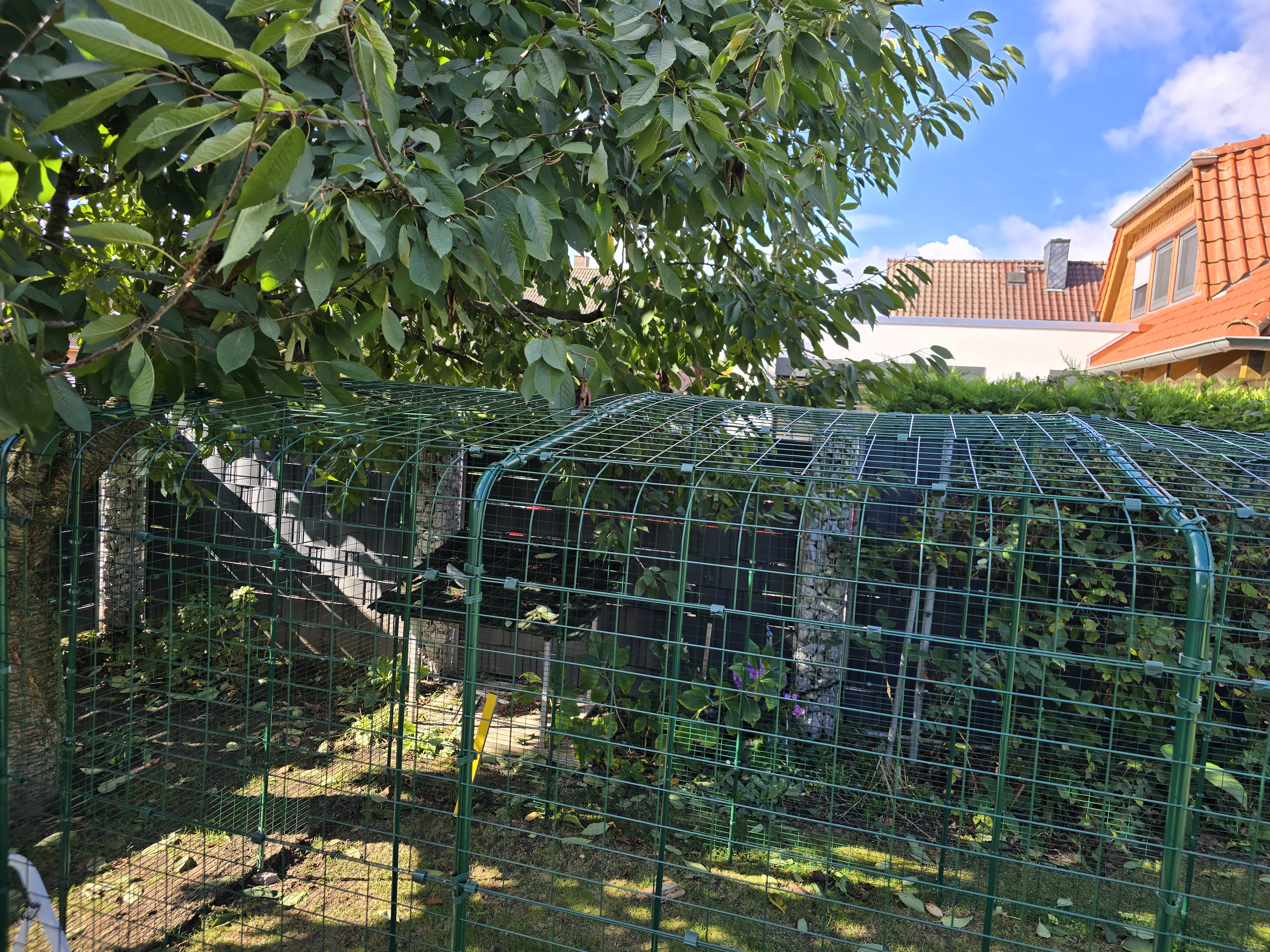Grüner Zaunverlauf mit Gitterelementen als Seitenwand eines Katzengeheges im Garten