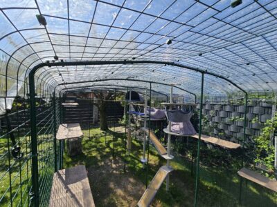 Draufsicht auf Katzengehege mit Freestyle Outdoor Kletterbaum, Outdoor Katzenliegen, Rampe und Hängematte