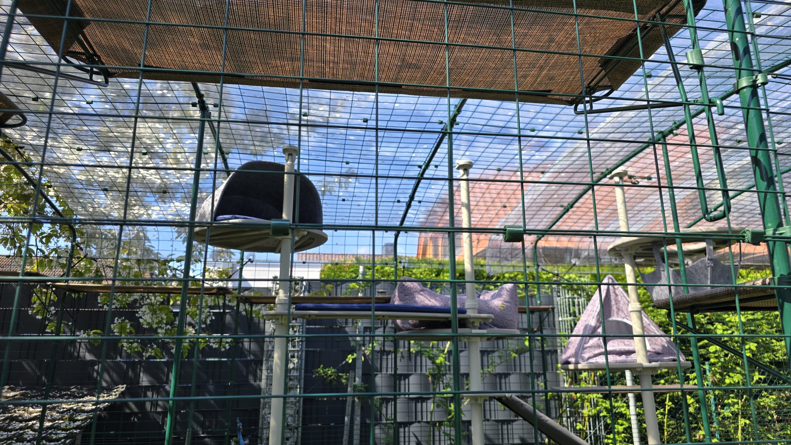 Sicht von unten auf Filzhöhle und Steg am Freestyle Outdoor Kletterbaum im Katzengehege
