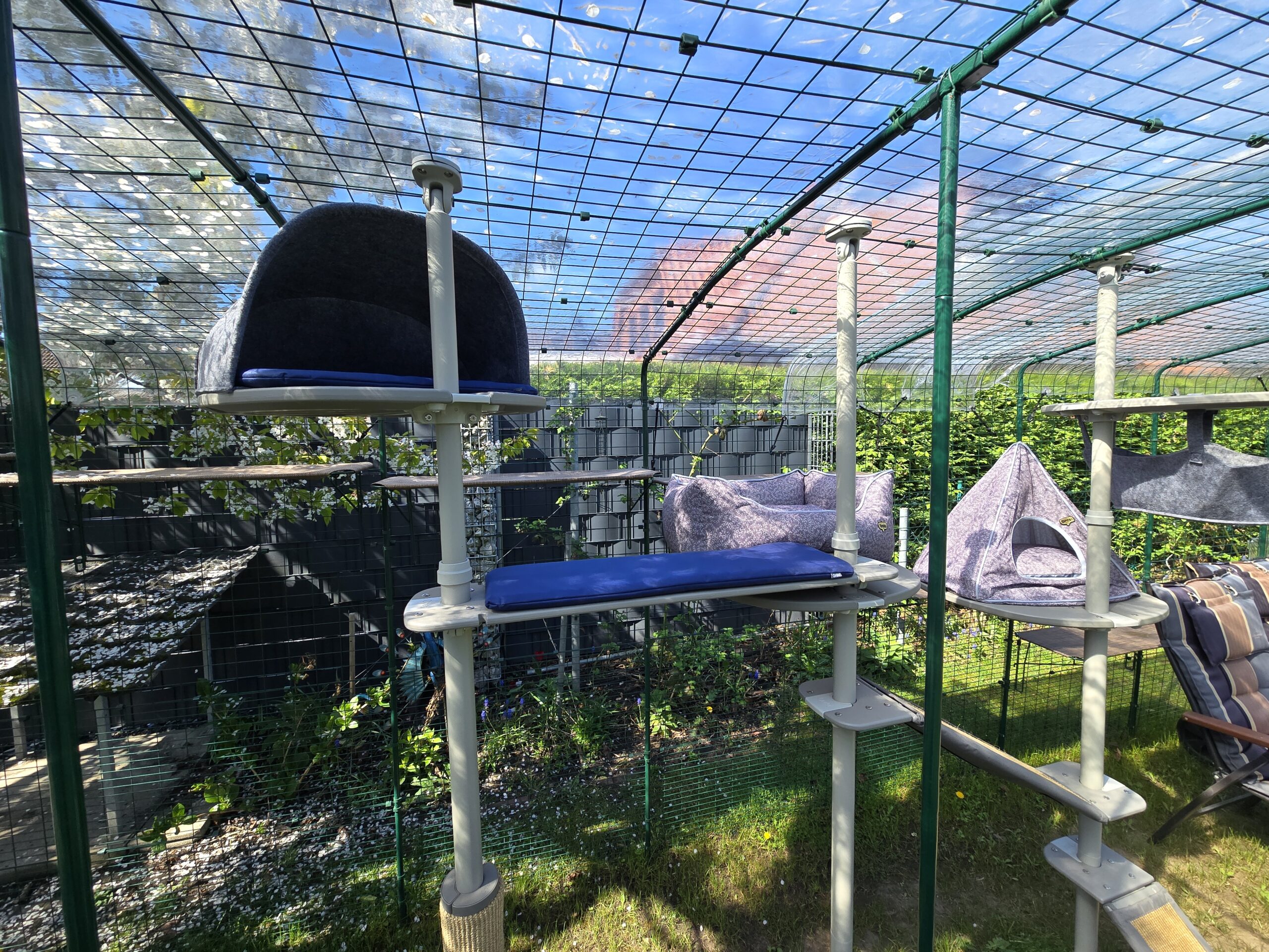 Seitenansicht der Anordnung: Freestyle Katzennest, Katzentipi und Kunststoffbrücke im