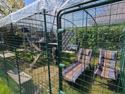 Homeoffice im Katzengehege: temporärer Arbeitsplatz am Omlet Katzengehege im Garten