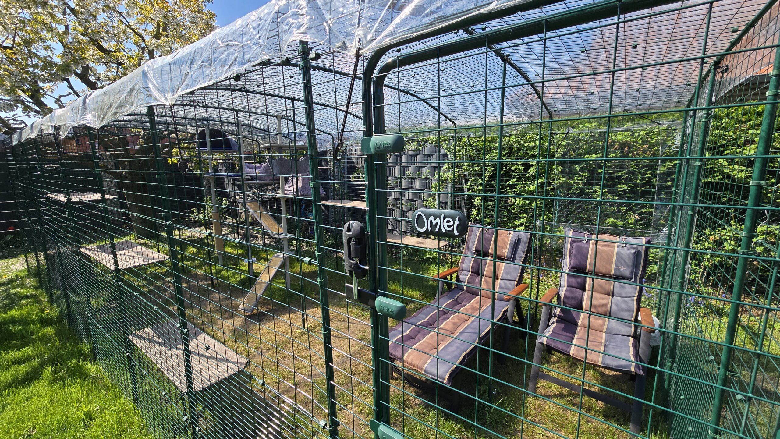 Homeoffice im Katzengehege: temporärer Arbeitsplatz am Omlet Katzengehege im Garten