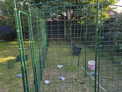 Grüner Metallrahmen mit Dachbogen beim Aufbau eines Katzengeheges im Garten