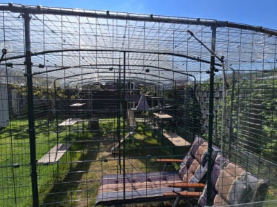 Gehege-Upgrades 2026: Katzengehege gemütlich gestalten – und jetzt brauche ich eure Ideen!