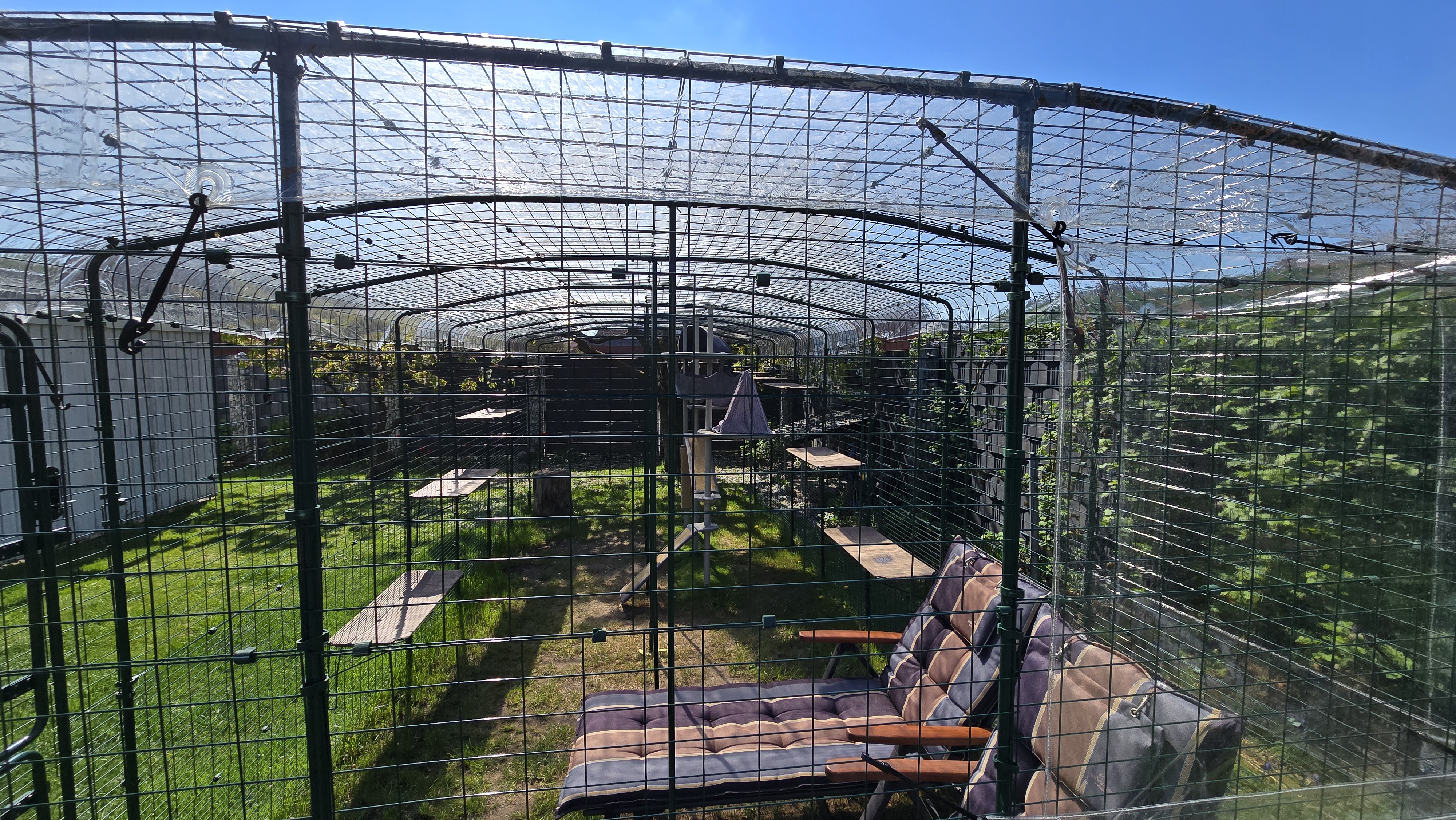 Blick in ein langes Outdoor-Katzengehege mit Liege, Grasboden und Kletterelementen, ideal für gemütliche Gehege-Upgrades