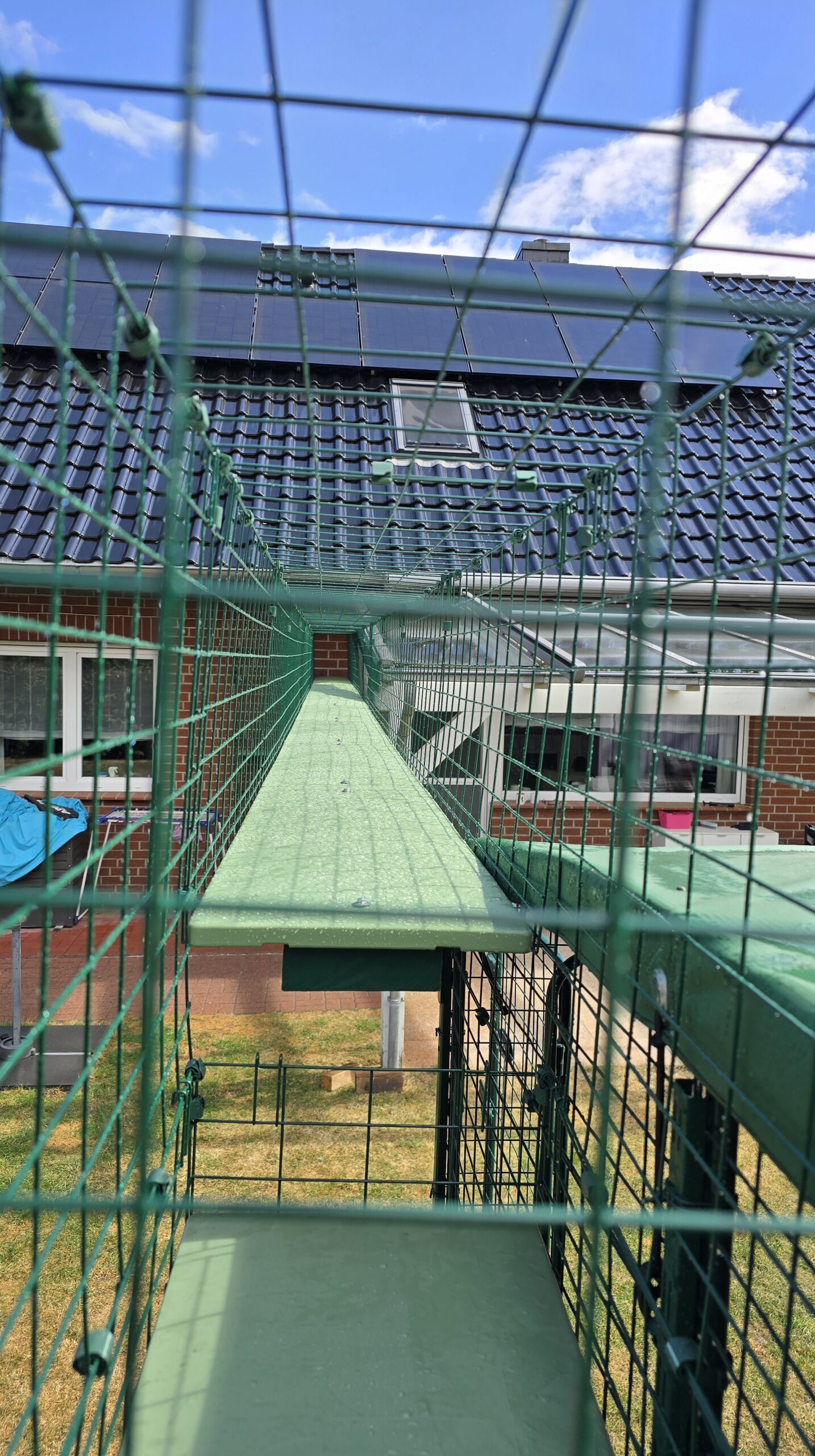 Innenansicht Katzengehege-Tunnel: Laufweg verbindet beide Türme miteinander