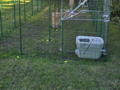 Katzenklo: Was muss, das muss