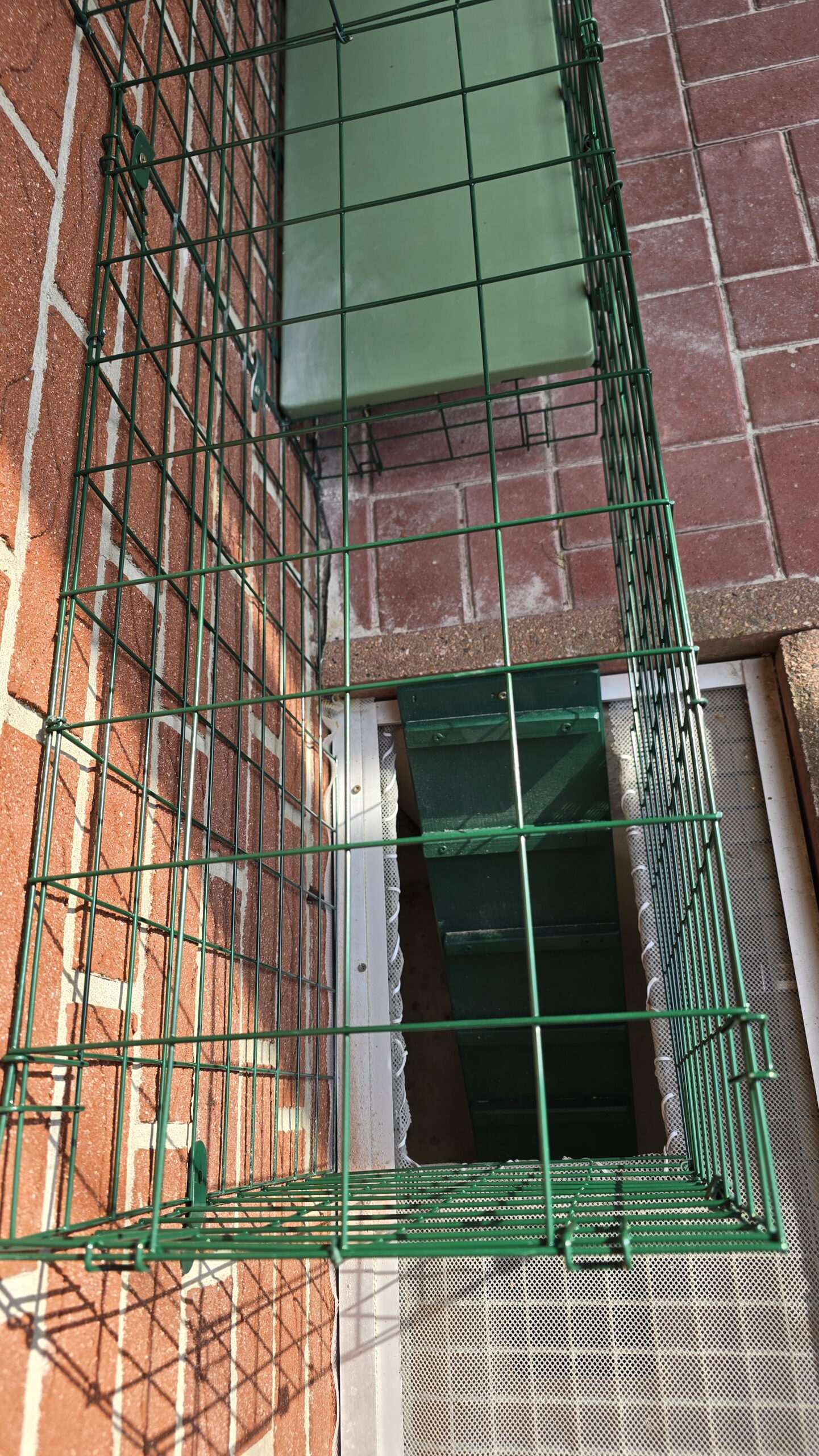 Kellerfenster-Aufgang: Steighilfe-Brett als Einstieg in den Katzengehege-Tunnel