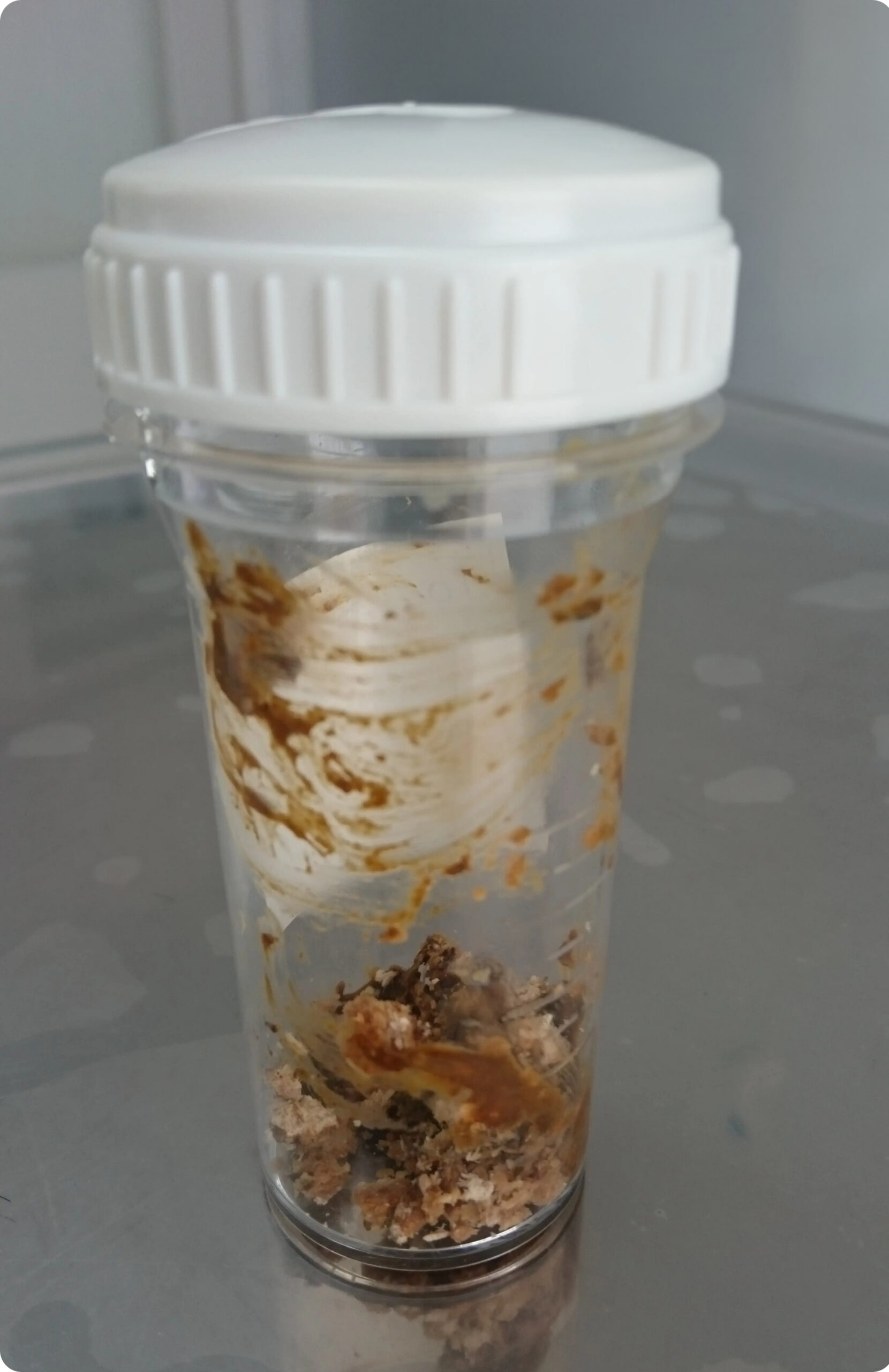 Probenbehälter mit Kotprobe für eine Kotuntersuchung bei Katzen