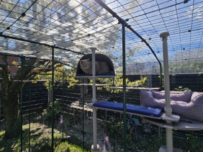 Lohnt sich ein Katzengehege wirklich? Meine ehrliche Antwort (ohne Prospekt-Sprache)