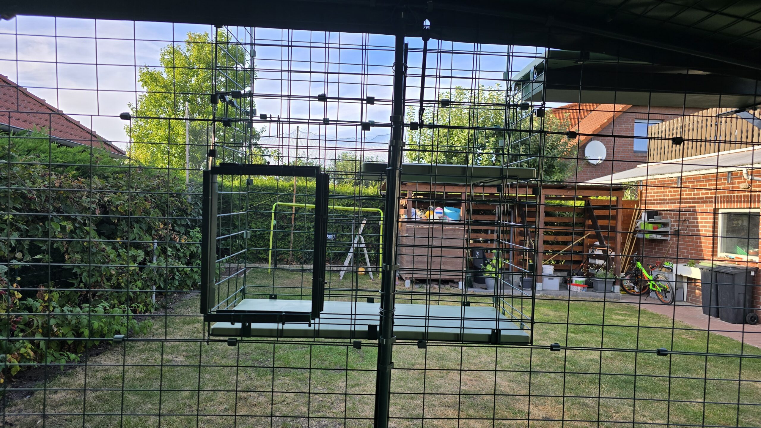 Omlet Katzengehege innen: kleine Öffnung ermöglicht den Eintritt aus dem Tunnel