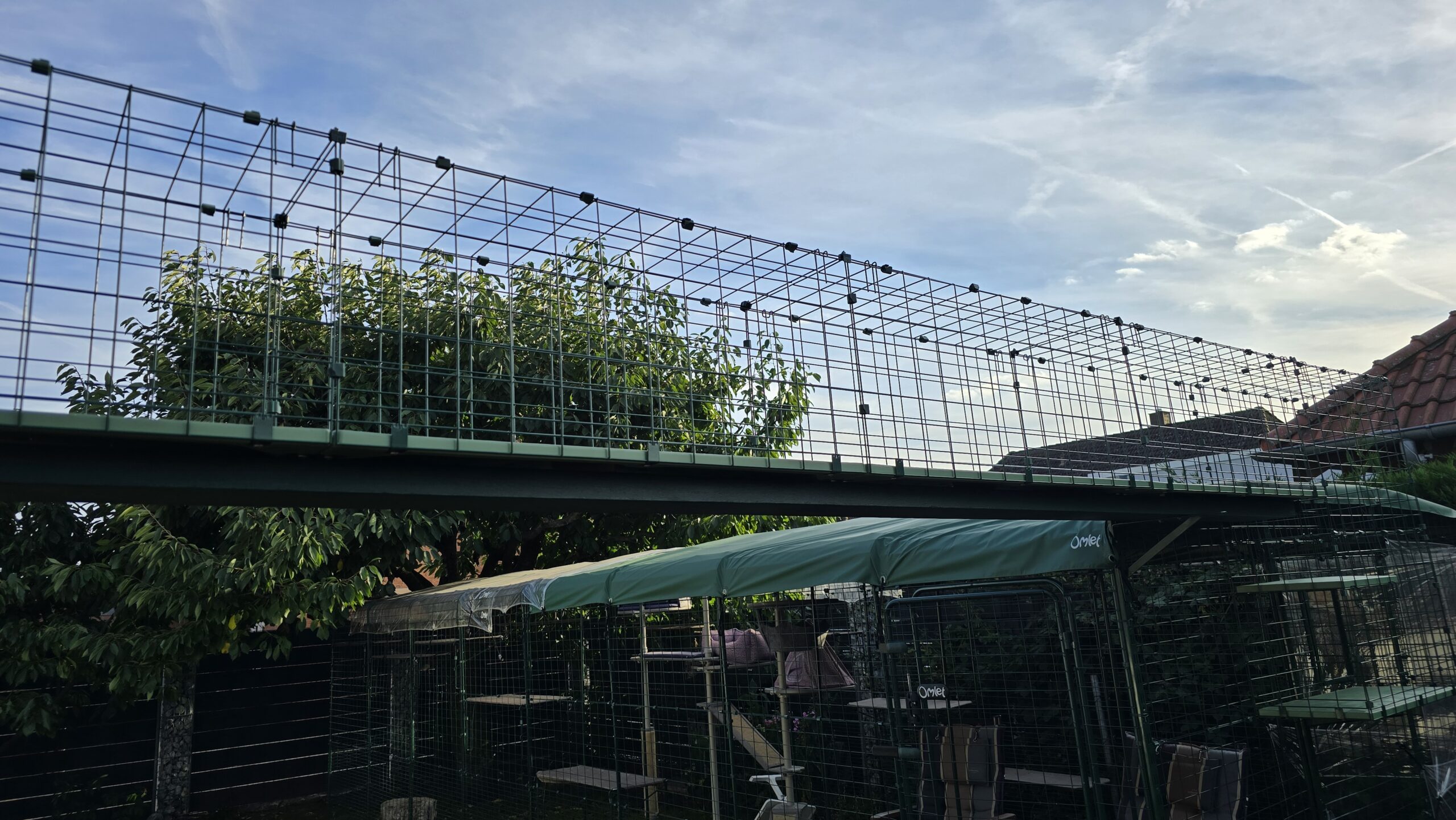 Weitsicht auf den Omlet Katzengehege Tunnel: langer, erhöhter Laufweg über dem Gehege