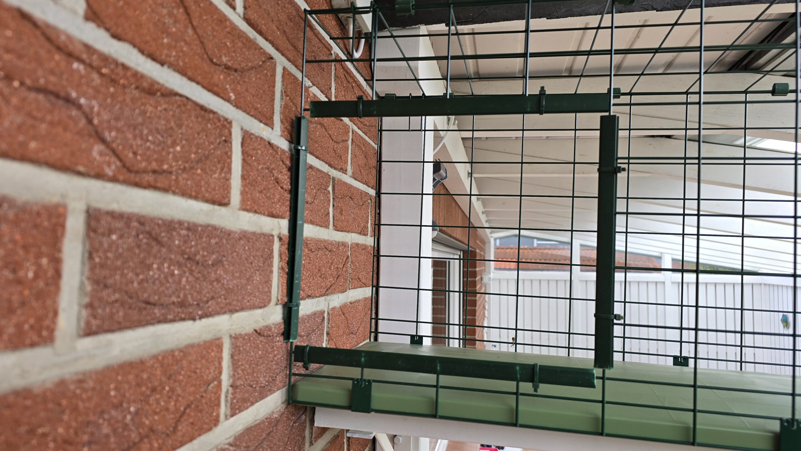 Tunnelöffnung am Turm: Übergang in den langen Omlet Tunnel zum Katzengehege