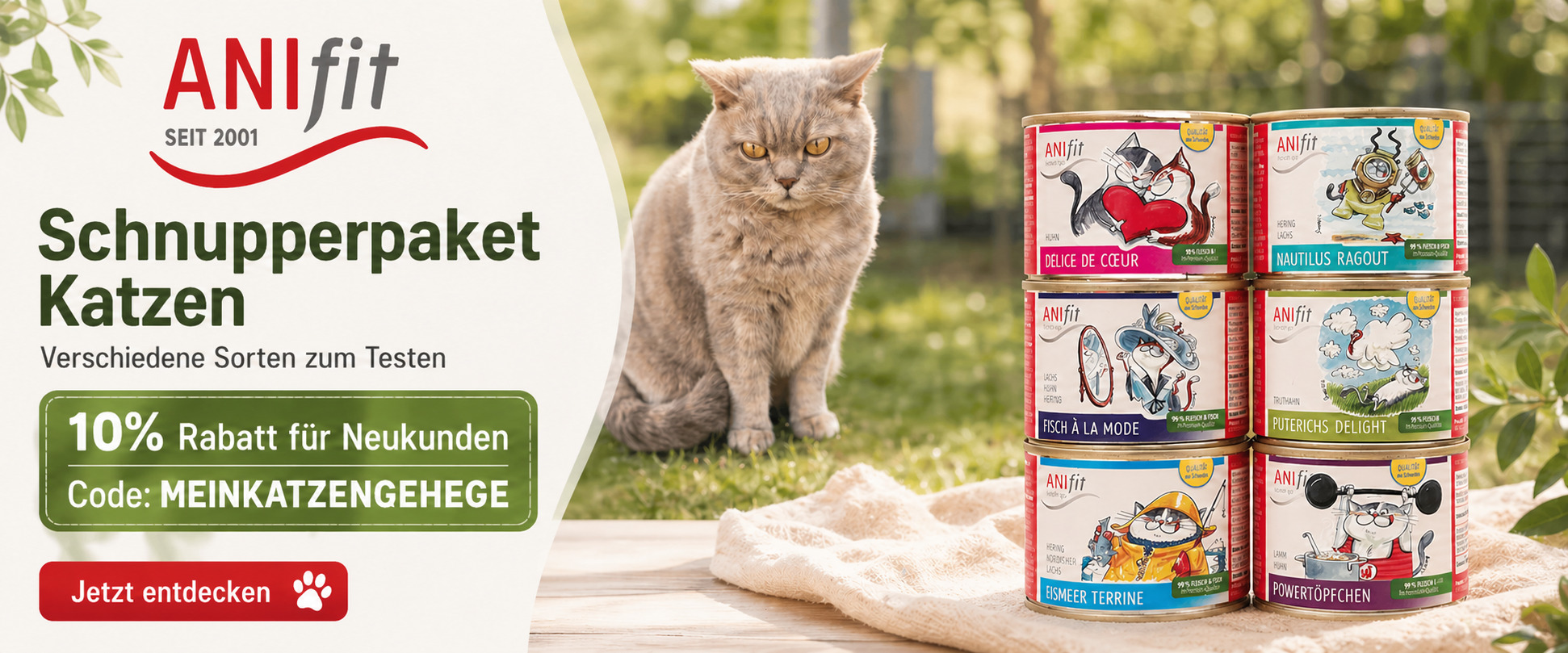 ANIfit Schnupperpaket Katze mit sechs Dosen Katzenfutter, Kater Ben und 10 Prozent Rabattcode MEINKATZENGEHEGE