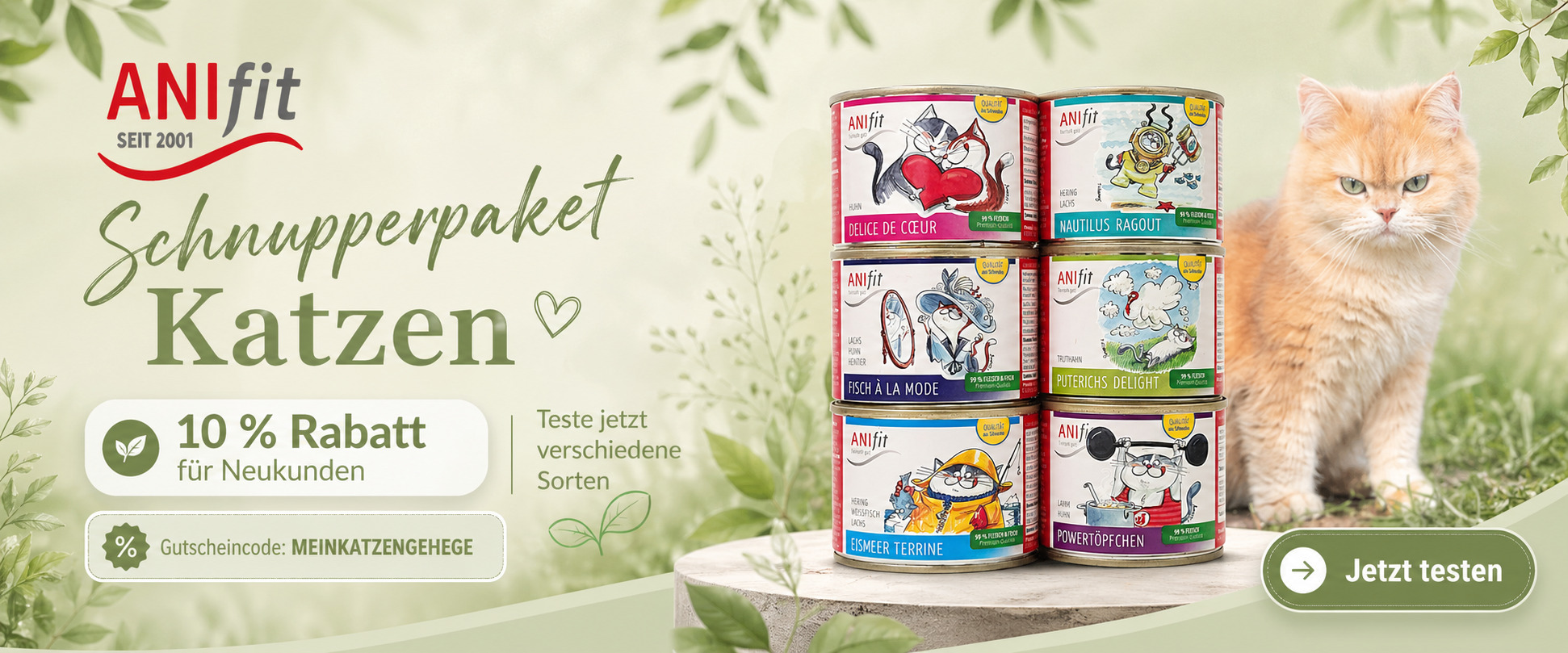 ANIfit Schnupperpaket Katze mit sechs Dosen, Gutscheincode MEINKATZENGEHEGE und 10 Prozent Rabatt für Neukunden